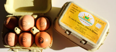 Huevos camperos