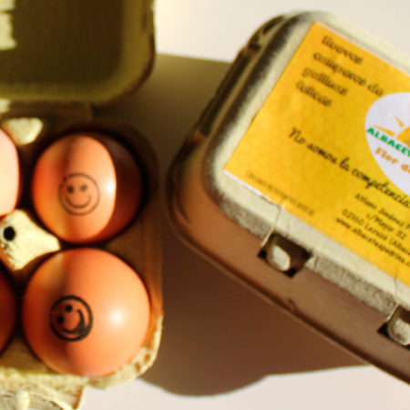 Huevos camperos