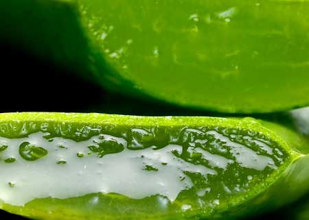 Aloe vera puro