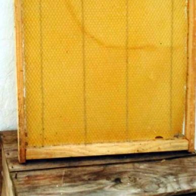 cera de abeja
