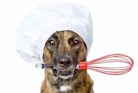 Perros
