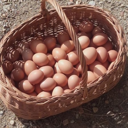 HUEVOS FELICES
